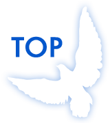 ページトップへ戻る